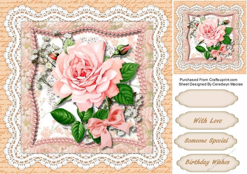 Pink Roses and Pearls