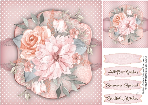 Beautiful Soft Pink Roses