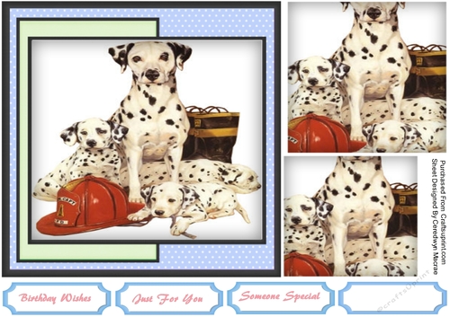 Beautiful Dalmation Family , Pyramid 