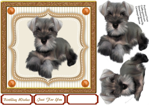 Beautiful Schnauzer on a Stitched Mat 