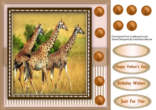 The Wildlife of Africa 