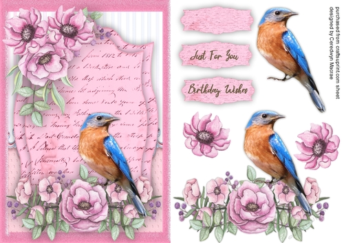 Lovely Pink Roses and Bird