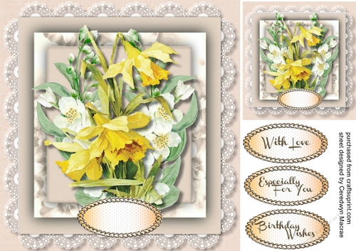 Beautiful Jasmine and Daffodils