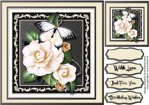 Beautiful Fantasy White Magnolias 