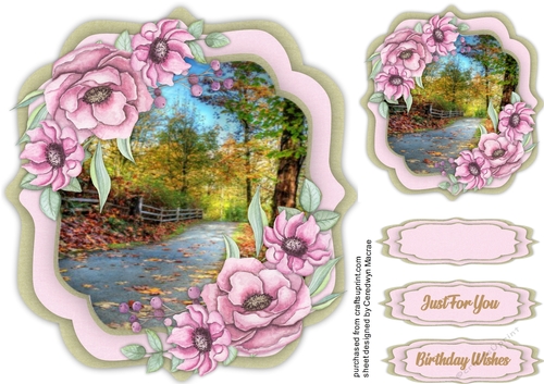 Walk in the Country Lane 