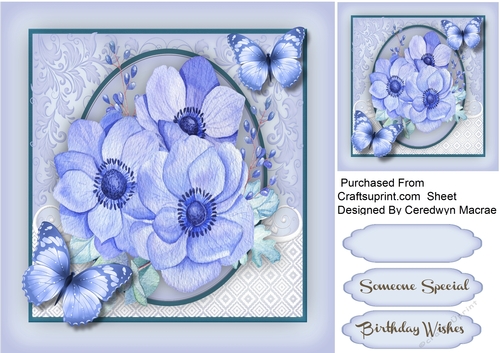 Tranquil Butterflys and Anemones 