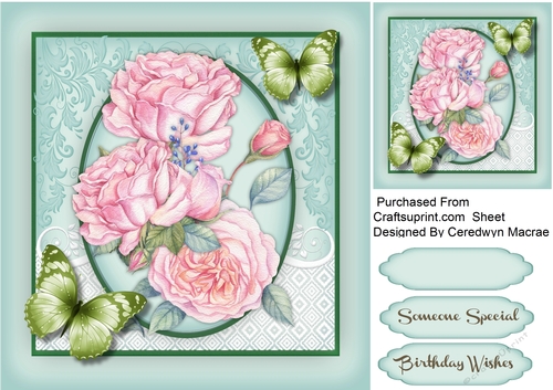 Tranquil Butterflys and Pink Roses