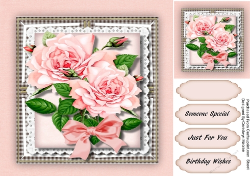 Beautiful Pink   Roses on Gingham and Lace 