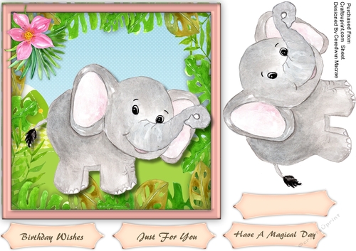 Cute Safari Elephant 