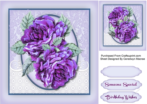Stunning Deep Mauve Roses 