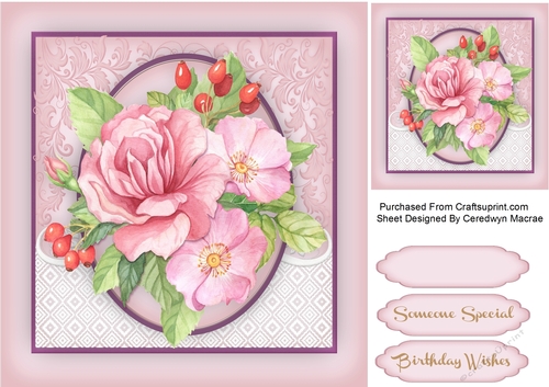 Stunning Wild Pink Roses 