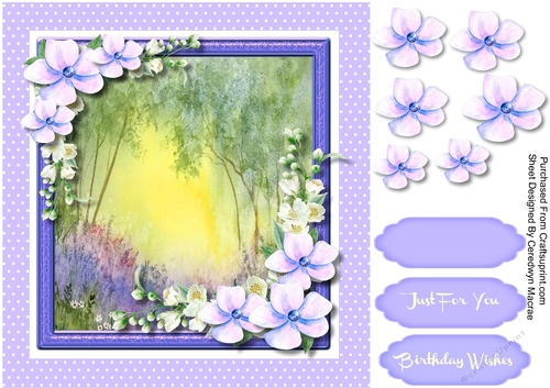 Beautiful Misty Bluebells 