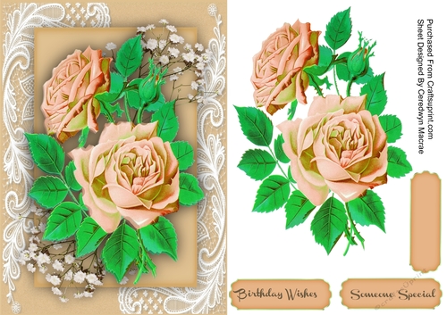 Beautiful Cream Roses on Corner Lace 