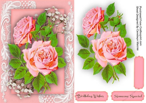 Beautiful Pink Roses on Corner Lace 