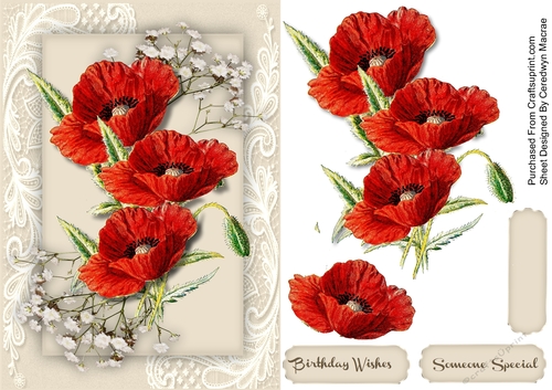 Beautiful Poppies  on Corner Lace 