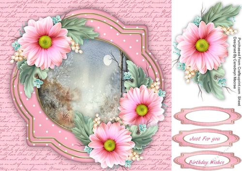 Pink Daisys in the Moonlight 