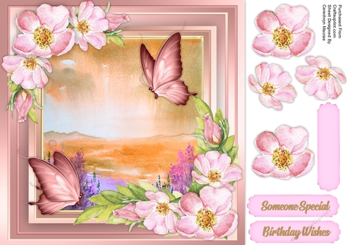 Wild Roses and Butterflys 