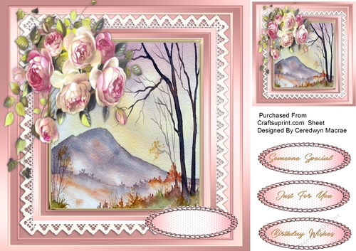 Beautiful Cottage Roses 