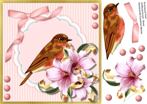 Beautiful Bird in a Lily Bush 2