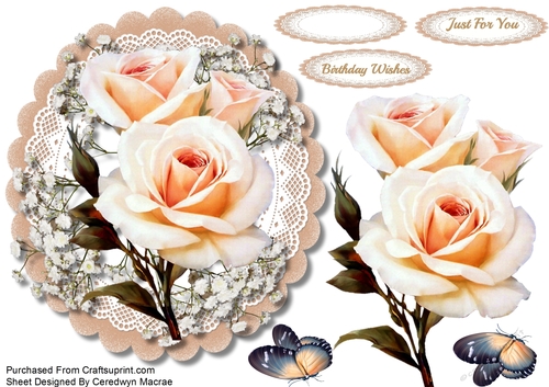 Cream Roses on a Lace Mat 