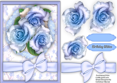 Beautiful Blue Roses and Bow 