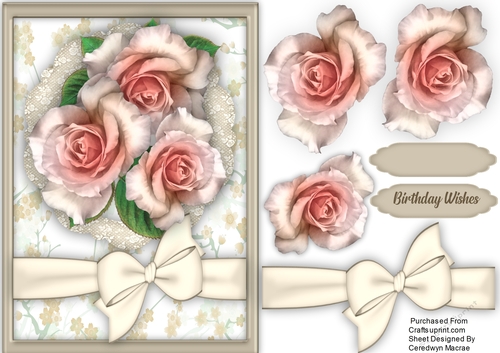 Beautiful Pink Roses and Bow 