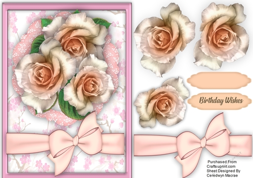 Beautiful Rose Roses  Roses and Bow 