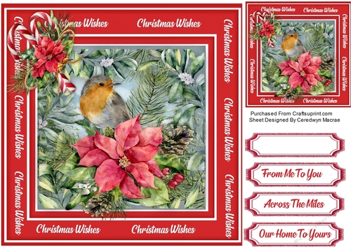 Beautiful Christmas Robin