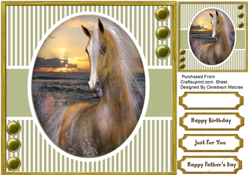 Beautiful Horse in a Oval Frame 