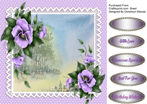 Lushush Lilac Pansys 