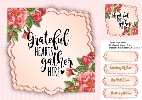Grateful Hearts Gather Here