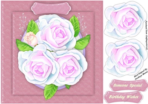 Lovely Strawberry Crush Roses