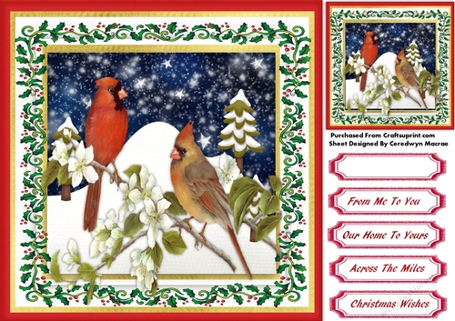 Beautiful Christmas Cardinals 