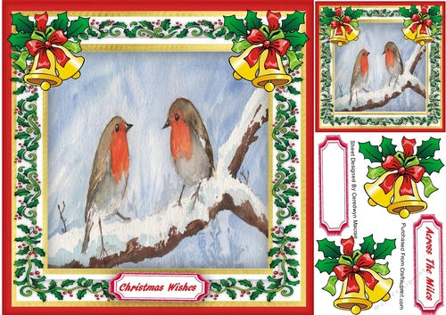 Beautiful Robins on a Branch