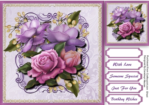 Beautiful Belleep Roses 