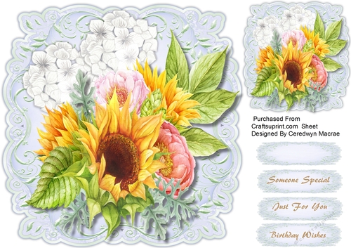 Beautiful Sunflowers 