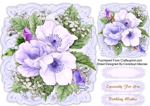 Wild Lilac Roses and Babys Breath