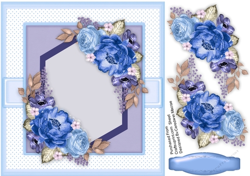Floral Rose Collection 