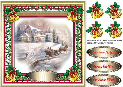 Beautiful Christmas Sleigh ride 