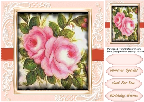 Beautiful pink Roses on Crner lace 