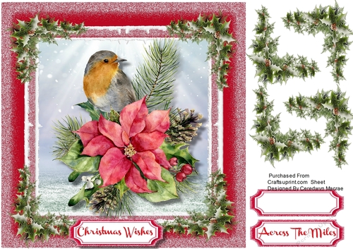 Beautiful Robin and Poinsettia 