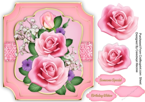 Beautiful Pink Hues