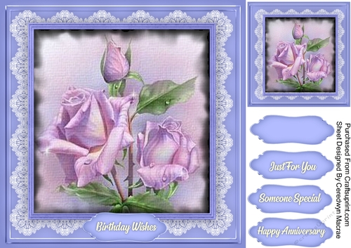 Beautiful Roises , Lilac