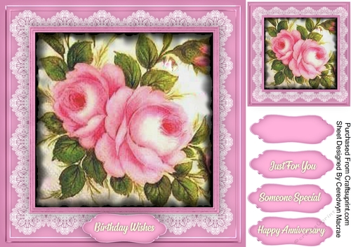 Beautiful Roises , Pink