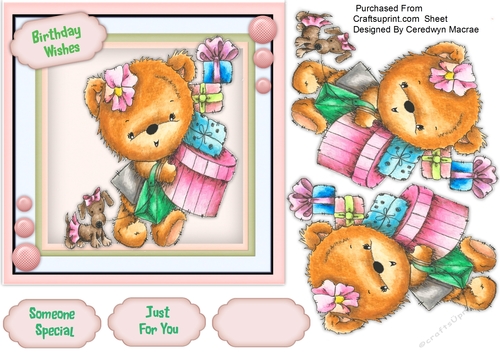 Bear Born To Shop