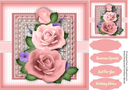 Beautiful Pink Roses on Lace 