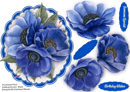 Beautiful Blue Anemones 