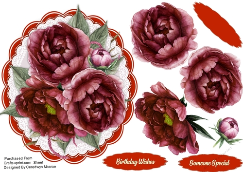 Beautiful Burgandy Roses