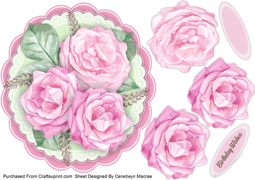 Beautiful Pink Roses