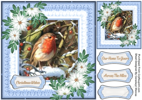 Christmas Blue with Robin 2